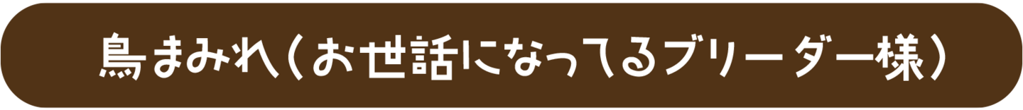 鳥まみれ